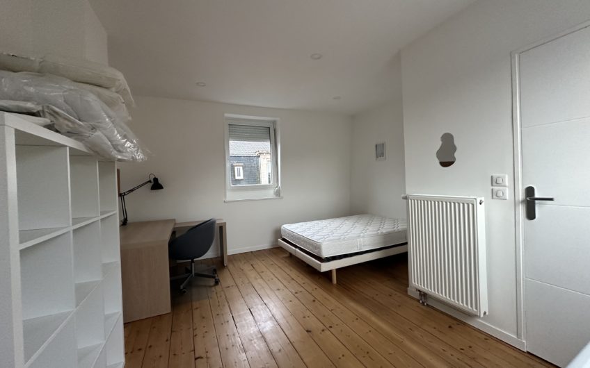 LILLE CHR COLOCATION CHAMBRE DANS MAISON avec extérieur